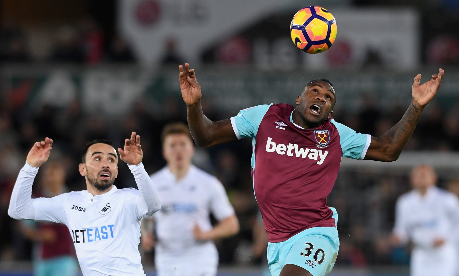 他们将在主 他们将在主